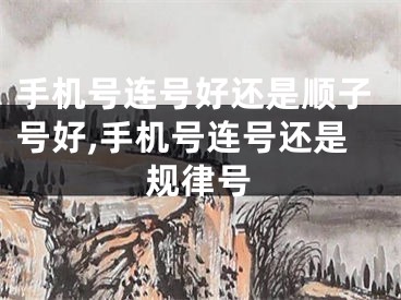 手机号连号好还是顺子号好,手机号连号还是规律号