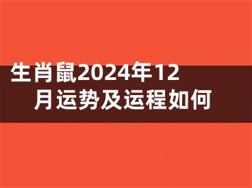 生肖鼠2024年12月运势及运程如何