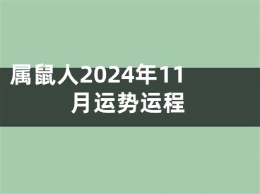 属鼠人2024年11月运势运程