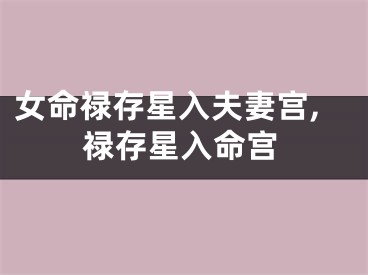 女命禄存星入夫妻宫,禄存星入命宫