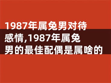 1987年属兔男对待感情,1987年属兔男的最佳配偶是属啥的