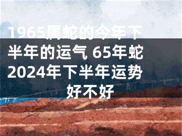 1965属蛇的今年下半年的运气 65年蛇2024年下半年运势好不好