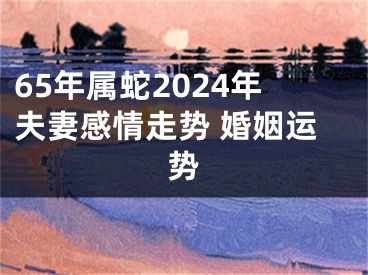 65年属蛇2024年夫妻感情走势 婚姻运势
