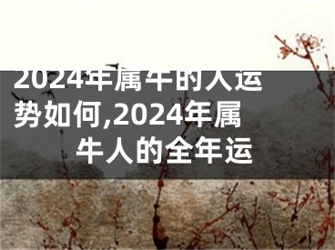 2024年属牛的人运势如何,2024年属牛人的全年运