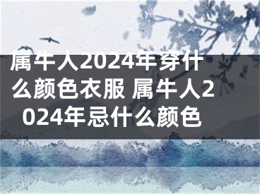 属牛人2024年穿什么颜色衣服 属牛人2024年忌什么颜色