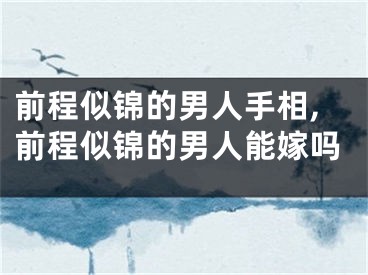 前程似锦的男人手相,前程似锦的男人能嫁吗