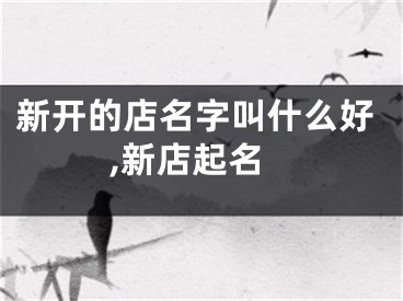 新开的店名字叫什么好,新店起名