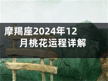 摩羯座2024年12月桃花运程详解