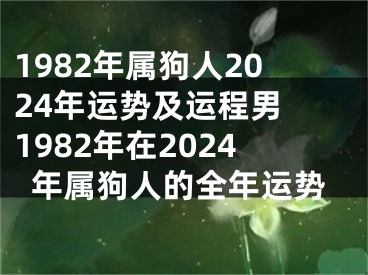 1982年属狗人2024年运势及运程男 1982年在2024年属狗人的全年运势