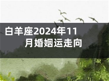白羊座2024年11月婚姻运走向