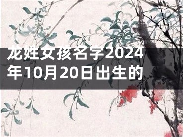 龙姓女孩名字2024年10月20日出生的