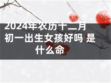 2024年农历十二月初一出生女孩好吗 是什么命 