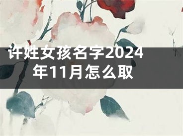 许姓女孩名字2024年11月怎么取