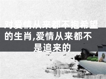 对爱情从来都不抱希望的生肖,爱情从来都不是追来的