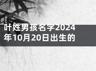 叶姓男孩名字2024年10月20日出生的
