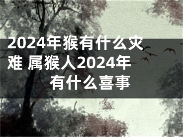 2024年猴有什么灾难 属猴人2024年有什么喜事
