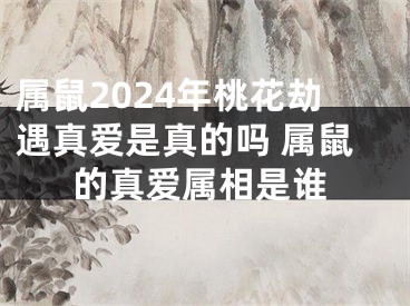 属鼠2024年桃花劫遇真爱是真的吗 属鼠的真爱属相是谁