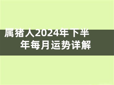 属猪人2024年下半年每月运势详解