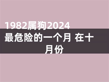 1982属狗2024最危险的一个月 在十月份