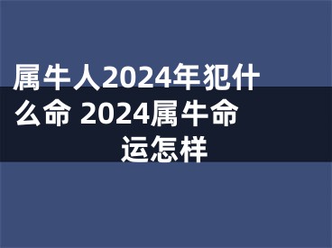 属牛人2024年犯什么命 2024属牛命运怎样