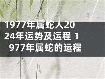 1977年属蛇人2024年运势及运程 1977年属蛇的运程