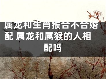 属龙和生肖猴合不合婚配 属龙和属猴的人相配吗