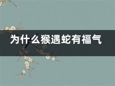 为什么猴遇蛇有福气