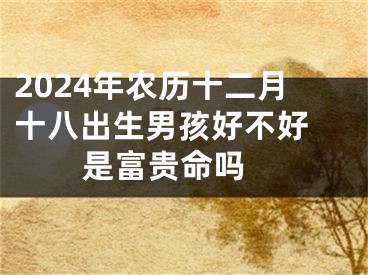 2024年农历十二月十八出生男孩好不好 是富贵命吗 