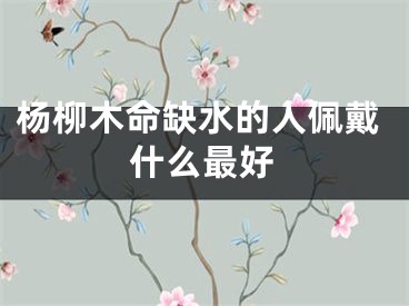 杨柳木命缺水的人佩戴什么最好