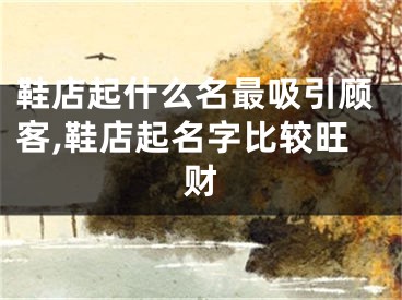 鞋店起什么名最吸引顾客,鞋店起名字比较旺财