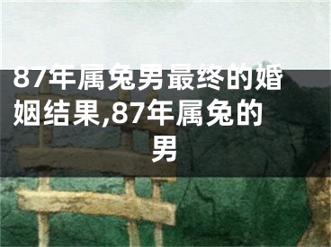 87年属兔男最终的婚姻结果,87年属兔的男