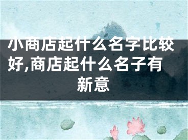 小商店起什么名字比较好,商店起什么名子有新意