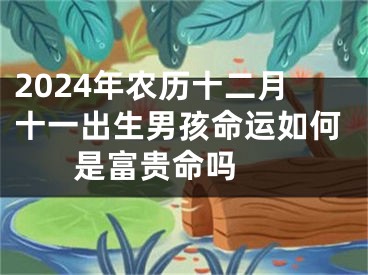 2024年农历十二月十一出生男孩命运如何 是富贵命吗 