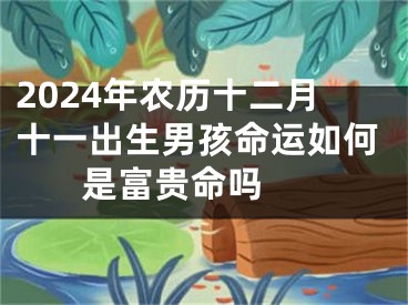 2024年农历十二月十一出生男孩命运如何 是富贵命吗 