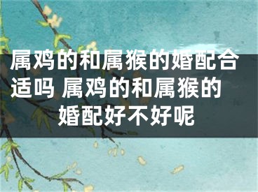 属鸡的和属猴的婚配合适吗 属鸡的和属猴的婚配好不好呢