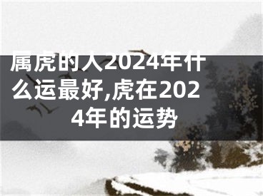 属虎的人2024年什么运最好,虎在2024年的运势
