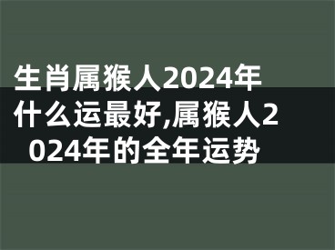 生肖属猴人2024年什么运最好,属猴人2024年的全年运势