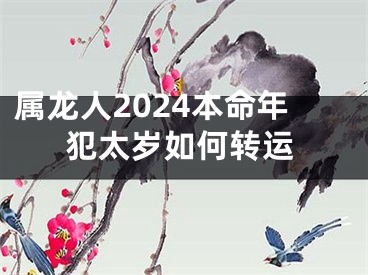 属龙人2024本命年犯太岁如何转运