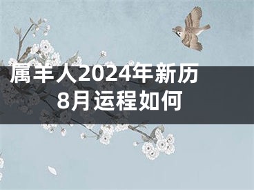 属羊人2024年新历8月运程如何
