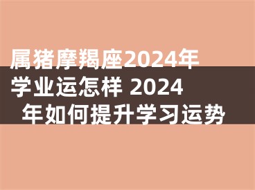 属猪摩羯座2024年学业运怎样 2024年如何提升学习运势