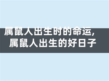 属鼠人出生时的命运,属鼠人出生的好日子