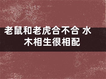 老鼠和老虎合不合 水木相生很相配