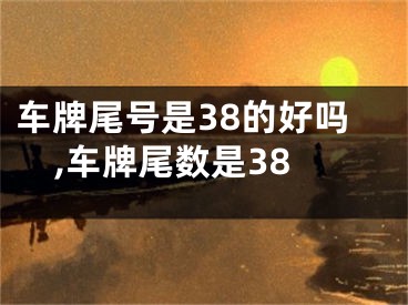 车牌尾号是38的好吗,车牌尾数是38