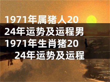 1971年属猪人2024年运势及运程男 1971年生肖猪2024年运势及运程