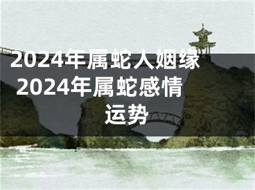 2024年属蛇人姻缘 2024年属蛇感情运势