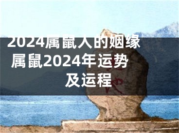 2024属鼠人的姻缘 属鼠2024年运势及运程