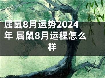 属鼠8月运势2024年 属鼠8月运程怎么样