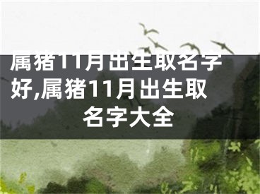 属猪11月出生取名字好,属猪11月出生取名字大全