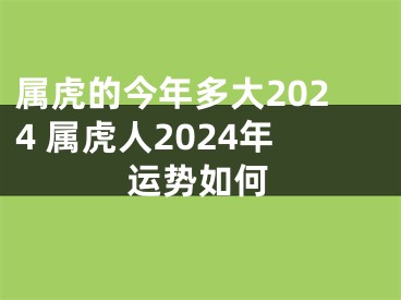 属虎的今年多大2024 属虎人2024年运势如何