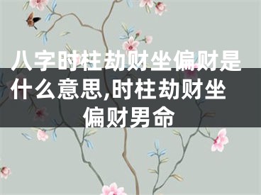 八字时柱劫财坐偏财是什么意思,时柱劫财坐偏财男命